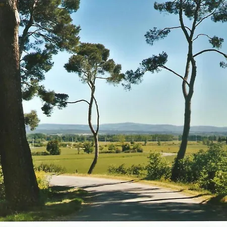 Holiday home Le Cazal